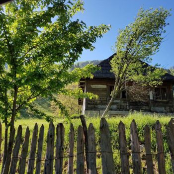 32720207_406376449839137_6438915889562648576_o-350x350