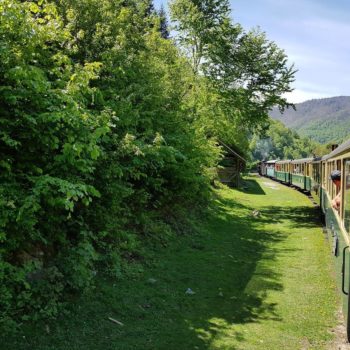 32727615_406376519839130_8073846343845543936_o-350x350