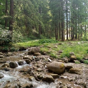 35285812_419723265171122_6151250967330291712_o-350x350