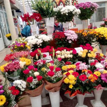 36002799_428894370920678_9097876378115637248_n-350x350