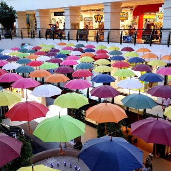 68980242_690971171379662_2022582747742076928_o-350x350