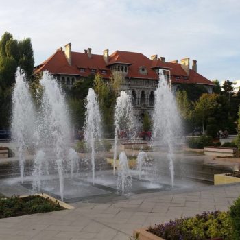 69139973_692063531270426_6793816076682526720_o-350x350