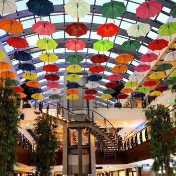 69465642_690971198046326_3387835723087347712_o-350x350