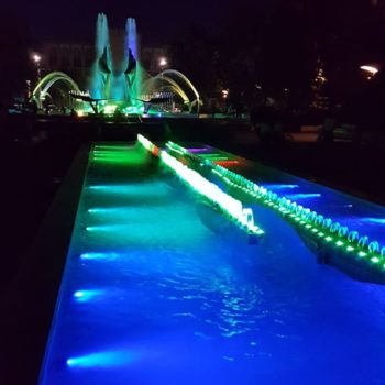 69592638_692063524603760_7032866942696292352_o-350x350