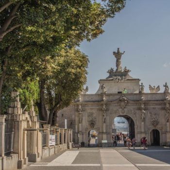 70010662_697244627418983_246934265600671744_o-350x350