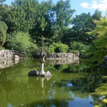 70088389_701905943619518_3912702347523915776_o-350x350