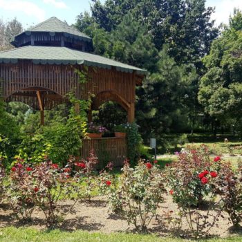 70332326_701905703619542_2323329659321712640_o-350x350