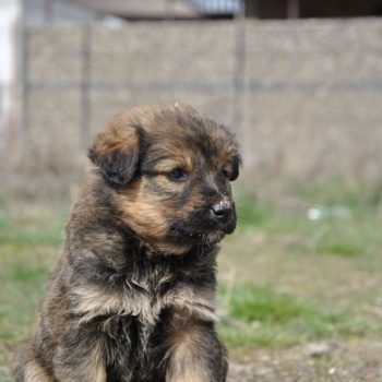 70993701_701381097005336_2175587684896997376_o-350x350