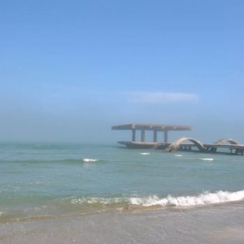 83065279_911975035945940_8908684042973152656_o-350x350