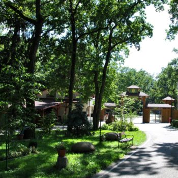 83567537_926631524480291_6052511528715499938_o-350x350