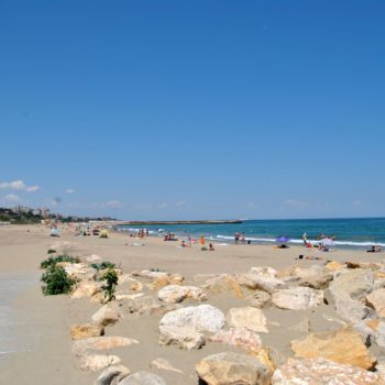 84092150_922106974932746_9105569372261984486_o-350x350