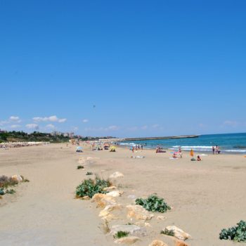 84387930_922107028266074_2318402962394036099_o-350x350