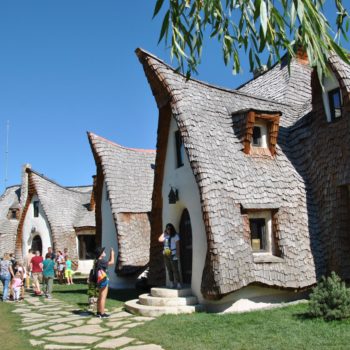 101671405_3120771194624772_2402094712375738368_o-350x350