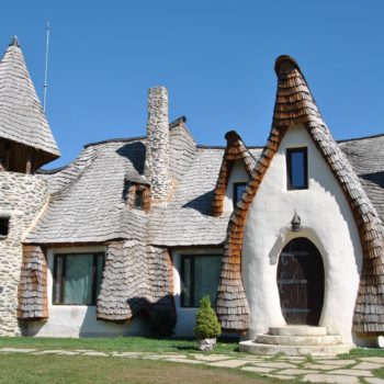 117106855_949979858812124_9097025307055965562_o-350x350