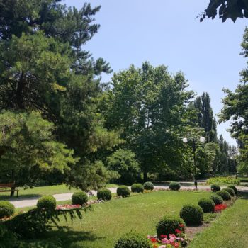 117595263_955553994921377_3060532955871603778_o-350x350