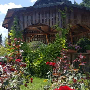 117602671_955553851588058_4355717020567984219_o-350x350