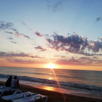 117763860_957839504692826_8301662506948033592_o-350x350