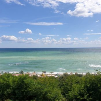 117768650_957839578026152_400256928820201415_o-350x350