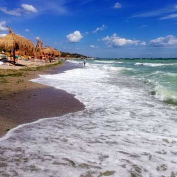 117772259_957839644692812_6709801288078691993_o-350x350