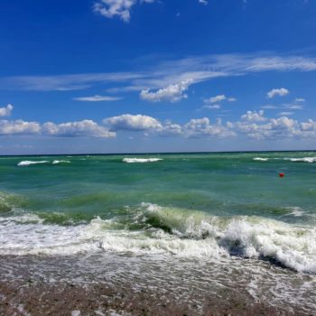 117803193_957839451359498_3743106496783602249_o-350x350