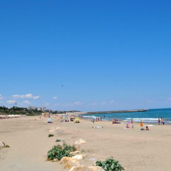 118088336_961774470965996_3737608904782337284_o-350x350