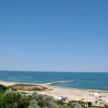 118101483_961774394299337_3409225541218110468_o-350x350