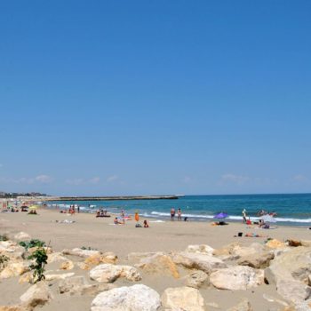 118120351_961774424299334_5065276233411394817_o-350x350