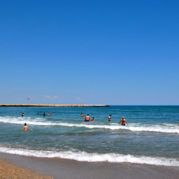 118139664_961774327632677_1477648561504725919_o-350x350