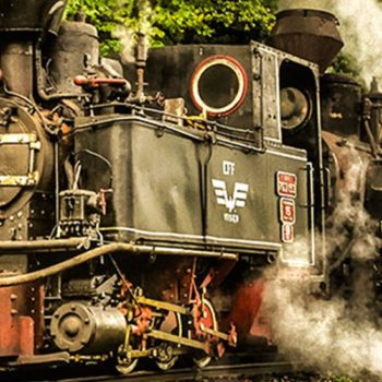 118421133_966067467203363_8499527500873203055_o-350x350