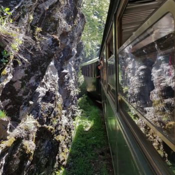 118534216_966067943869982_7109632250848485078_o-350x350