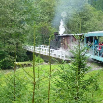 118544200_966067660536677_6107432918364257267_o-350x350