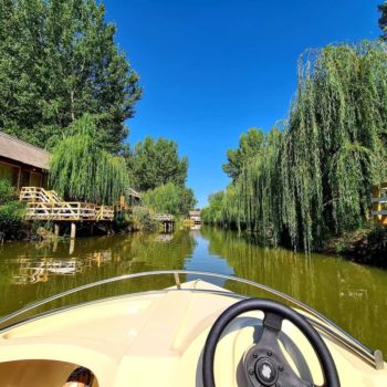 119026387_976083086201801_3597643026389350892_n-350x350