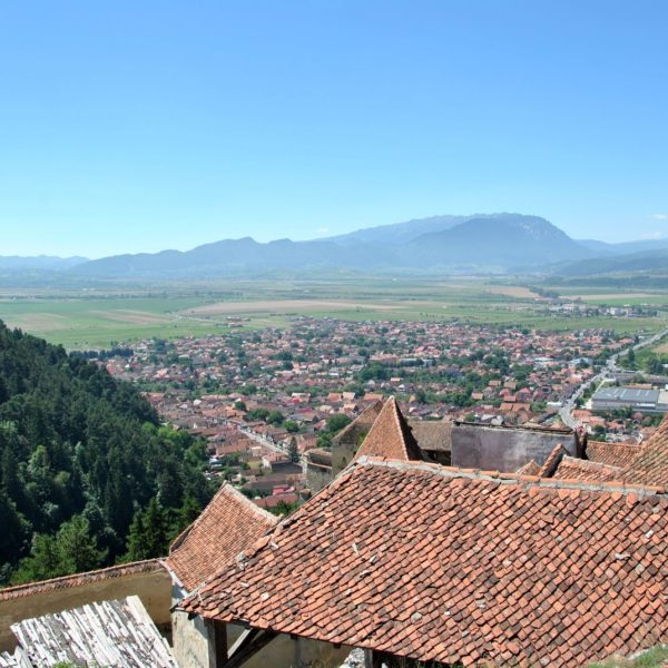 104312315_914381995705244_2980784541899933699_o-1-600x600