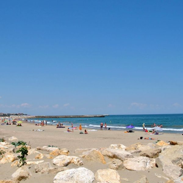 118120351_961774424299334_5065276233411394817_o-1-600x600