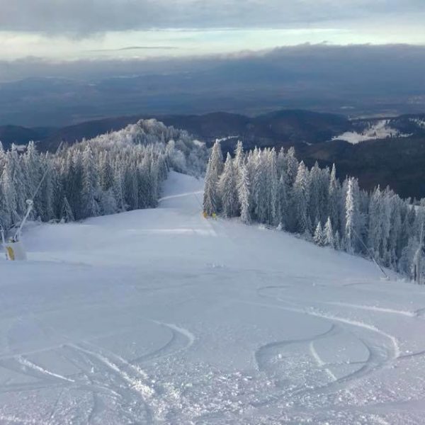 25151968_341479452995504_1747392356941628081_n-1-600x600