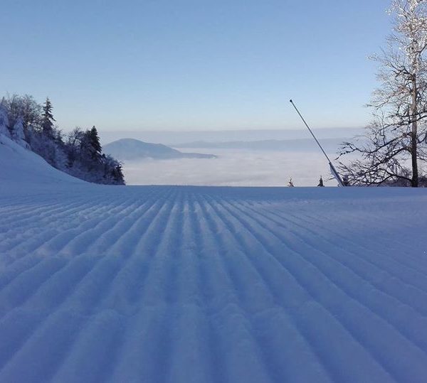 25182207_341945996282183_8400955437933252846_o-600x539