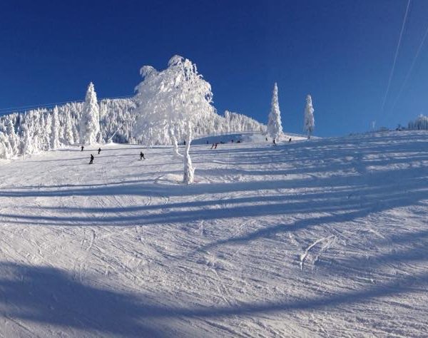 26196334_350130302130419_1693364671899186962_n-1-600x474