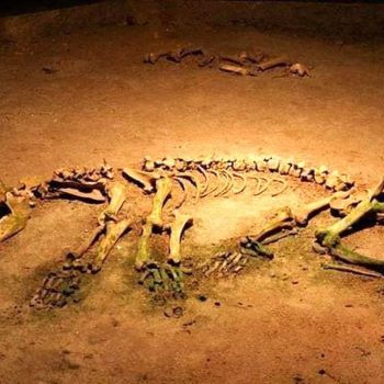 pestera_ursilor-350x350