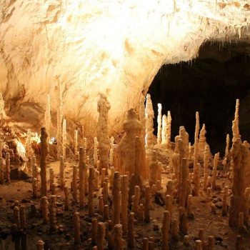 pestera_ursilor3-350x350