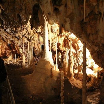 pestera_ursilor4-350x350