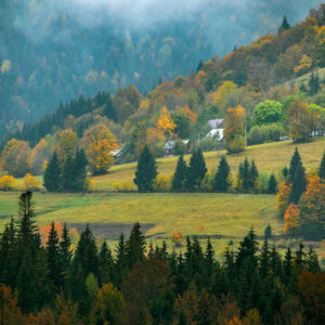 arieseni-1-300x300-1