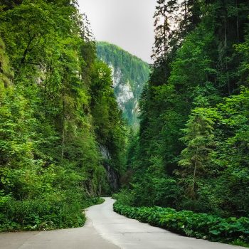 cheile_ordancusei3-350x350-1