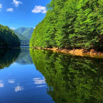 lacult_tarnita-1-350x350-1