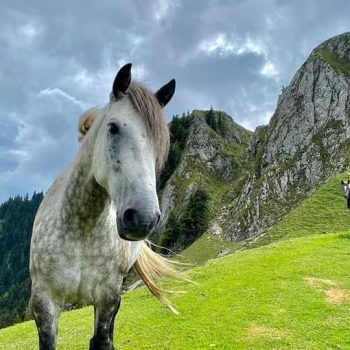 parc_national_buila_vanturarita2-350x350