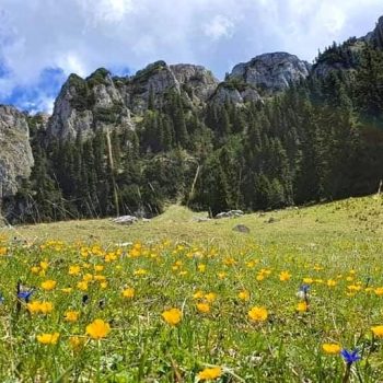 parc_national_buila_vanturarita3-350x350