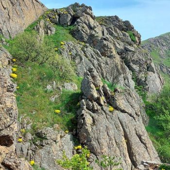 muntii_macinului2-350x350