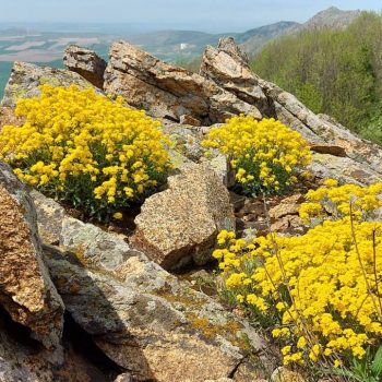 muntii_macinului4-350x350