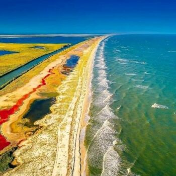 Gura_portitei_aug-350x350