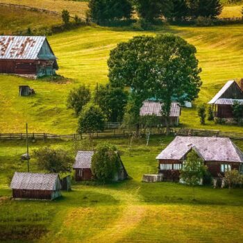 jud_cluj_aug2-350x350