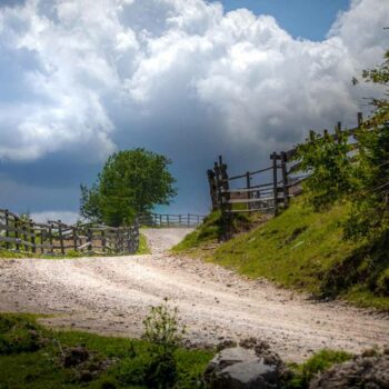 jud_cluj_aug4-350x350